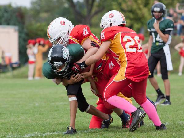 Wölfe gezähmt - Drachen leider nicht