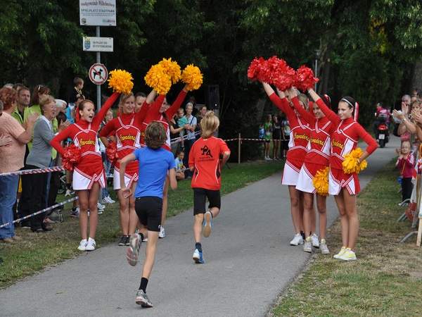 Cheer'in Vaders beim Wilhelmsburger Stadtlauf