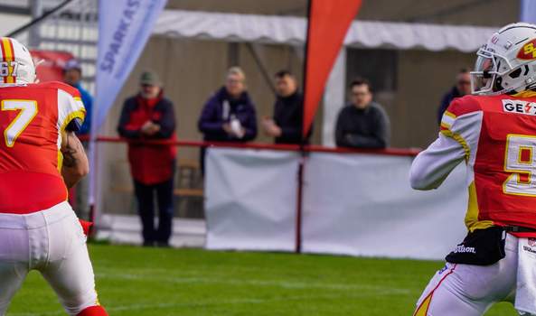 Knappe Niederlage gegen Knights