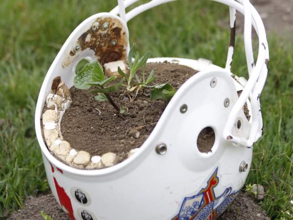Earth Day - Facebook Gewinnspiel