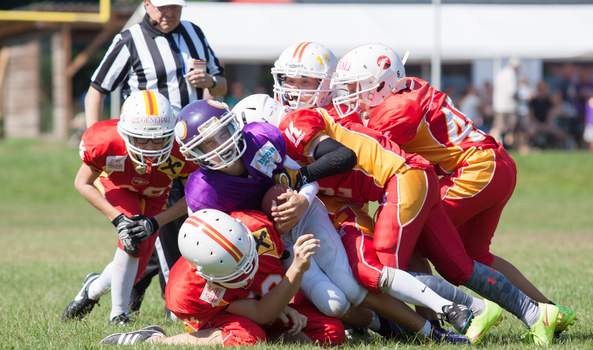 Zweiter Nachwuchs Gameday