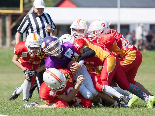 Zweiter Nachwuchs Gameday